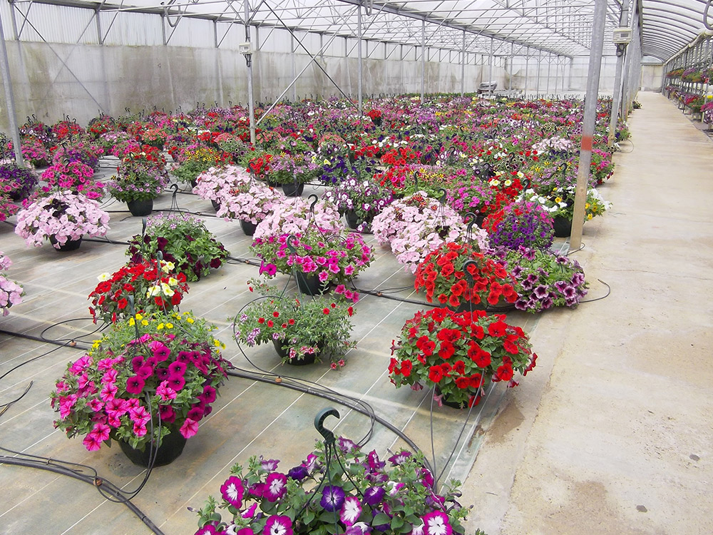 Le Jardinier de Pouilloux